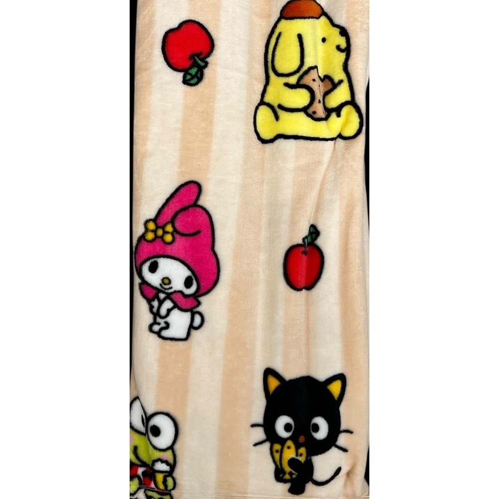 Sanrio Hello Kitty & Friends Silk Touch Throw Blanket 50x70 Polyester 2025